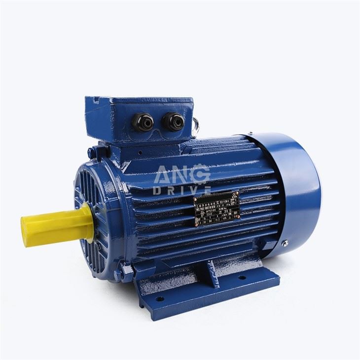 22KW Electric Motor