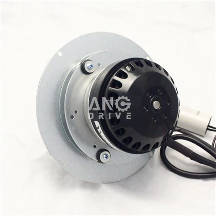 fireplace motor