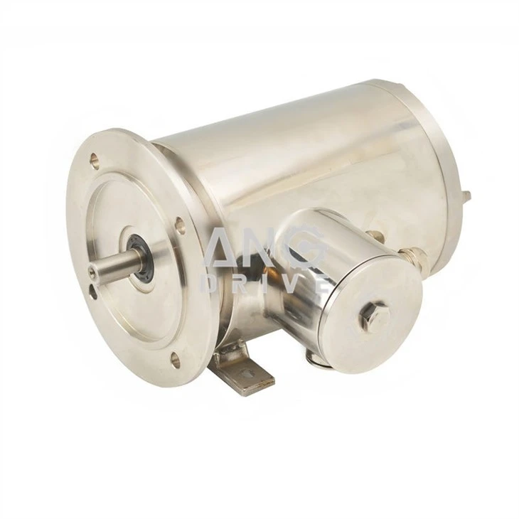 stainless steel motor